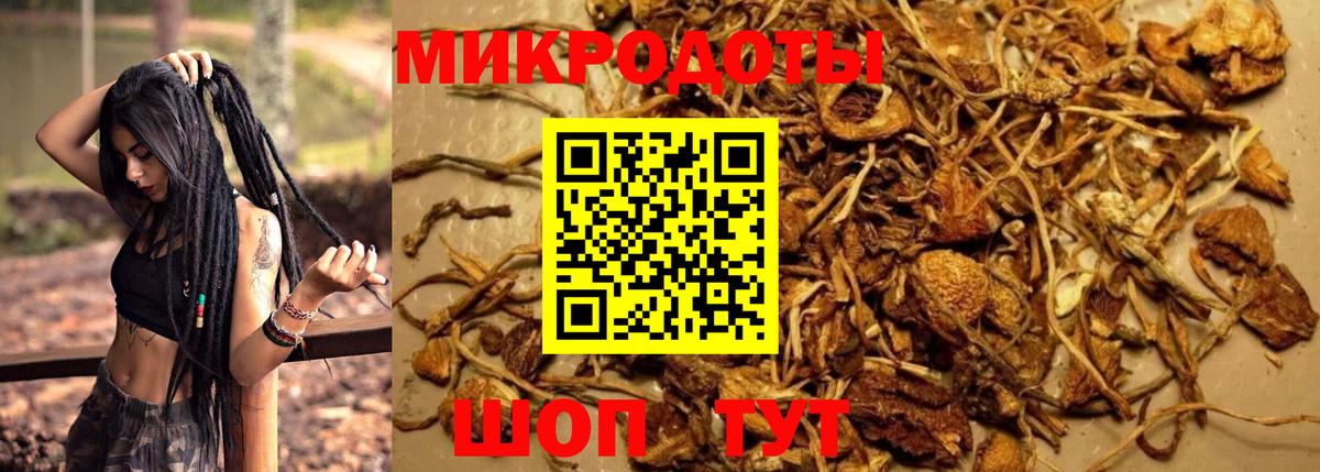 Псилоцибиновые грибы MAGIC MUSHROOMS Симферополь