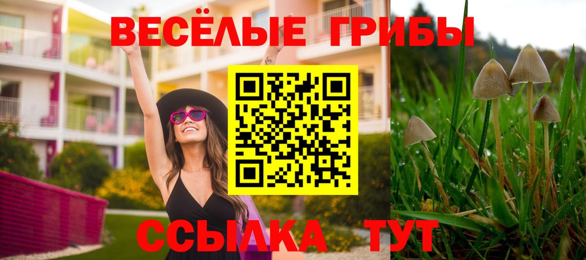 цена наркотик  Псилоцибиновые грибы Magic Shrooms  Вход с VPN  Симферополь  Галлюциногенные грибы Cubensis 